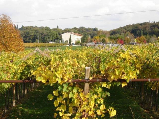 فندق ريفى Agriturismo B&b Le Coste