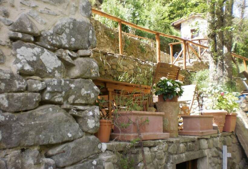 田舎風ホテル Agriturismo Molino Paradiso