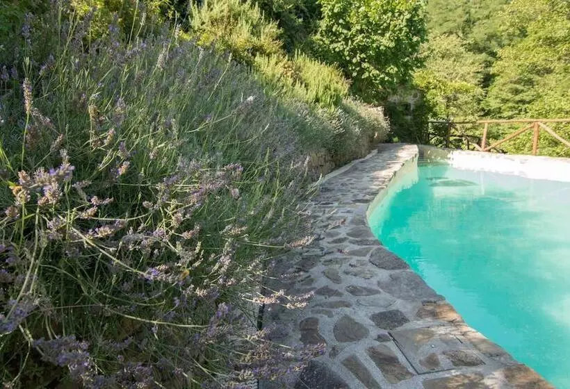 田舎風ホテル Agriturismo Molino Paradiso