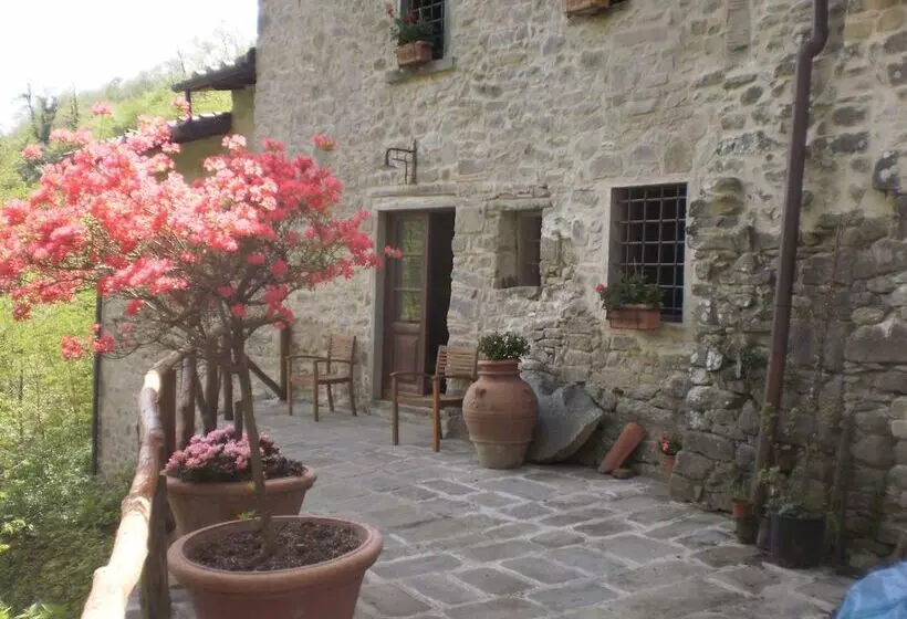 田舎風ホテル Agriturismo Molino Paradiso