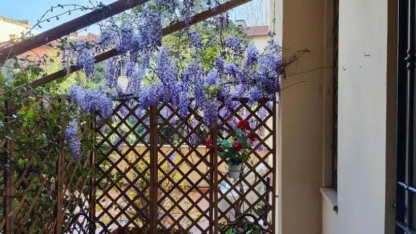 پانسیون Le Nove Muse Guesthouse