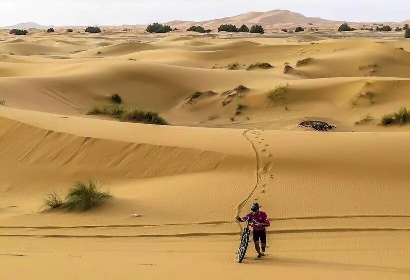 酒店 Erfoud Palace