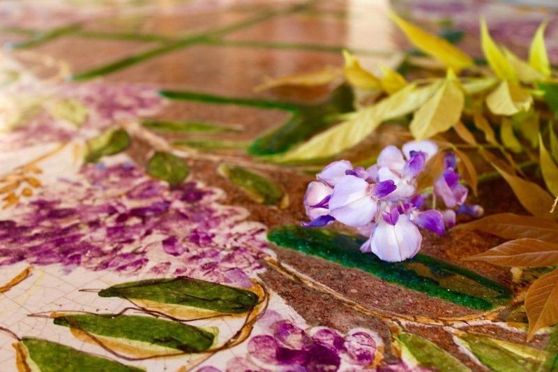 Ars Naturae Biologic Farm