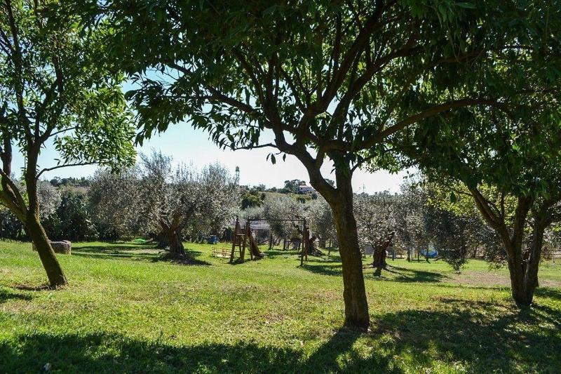 Ars Naturae Biologic Farm