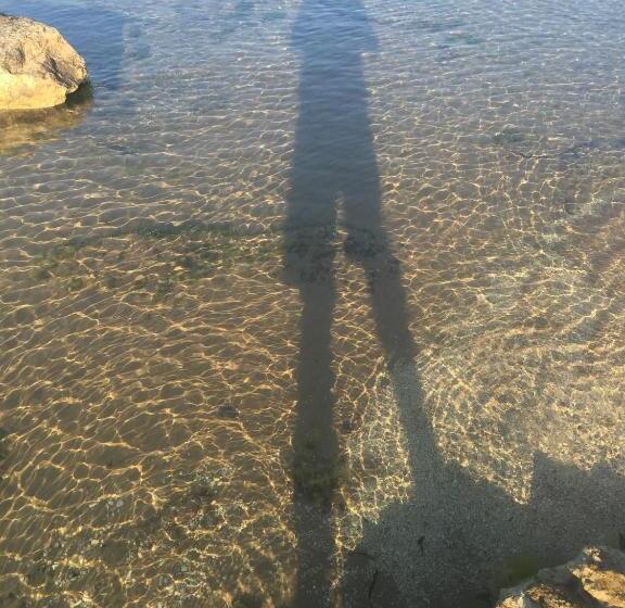 B&b Fiori Gialli Caucana