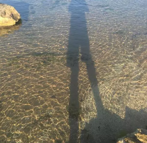 B&b Fiori Gialli Caucana