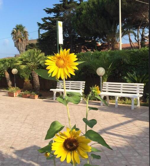 B&b Fiori Gialli Caucana