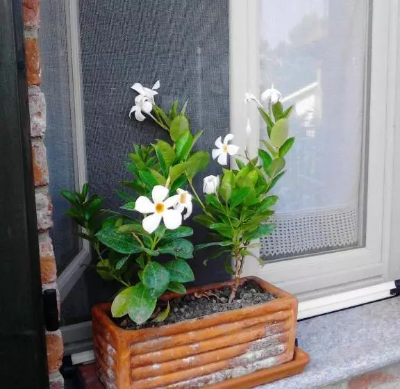 Aamiaismajoitus (B&B) L Arziga