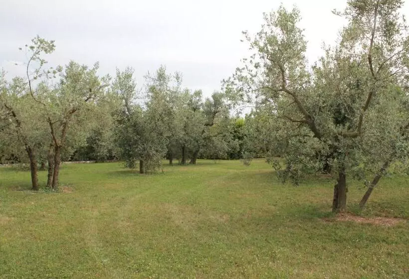 Maaseutuhotelli Agriturismo Piano Grande