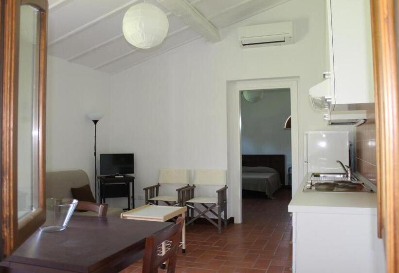 乡村酒店  Poggio Agli Ulivi Agriturismo