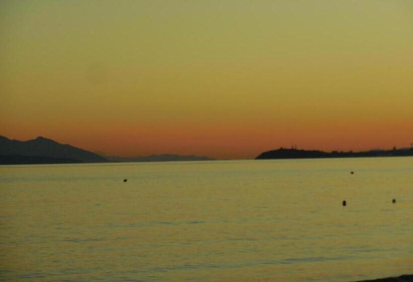 乡村酒店  Poggio Agli Ulivi Agriturismo