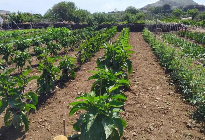 پانسیون Agriturismo Hibiscus