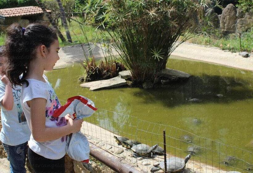 Пансион Dolce Vita Casa Vacanze