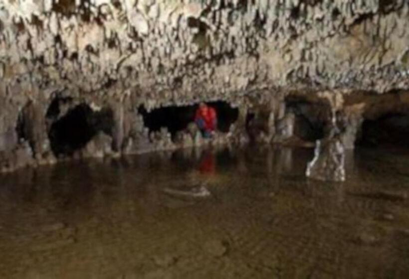 Пансион Dolce Vita Casa Vacanze