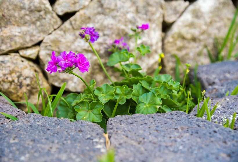 פנסיון Villa Erminia