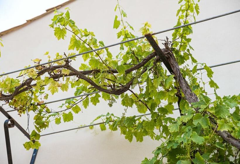 פנסיון Villa Erminia