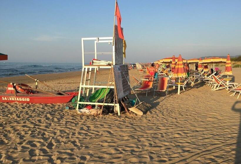 Курорт Viola Club Village