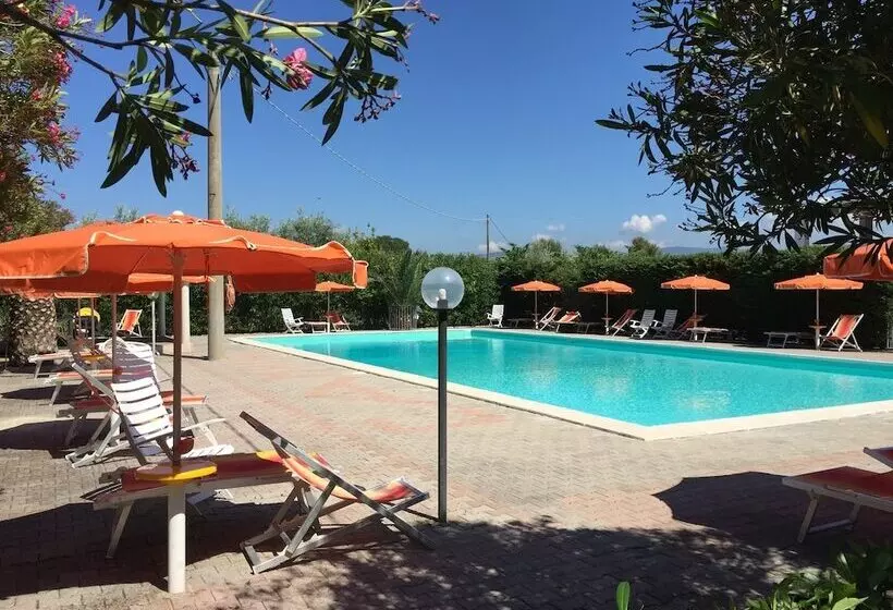 استراحتگاه Viola Club Village