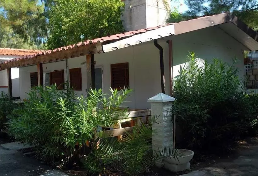 استراحتگاه Viola Club Village