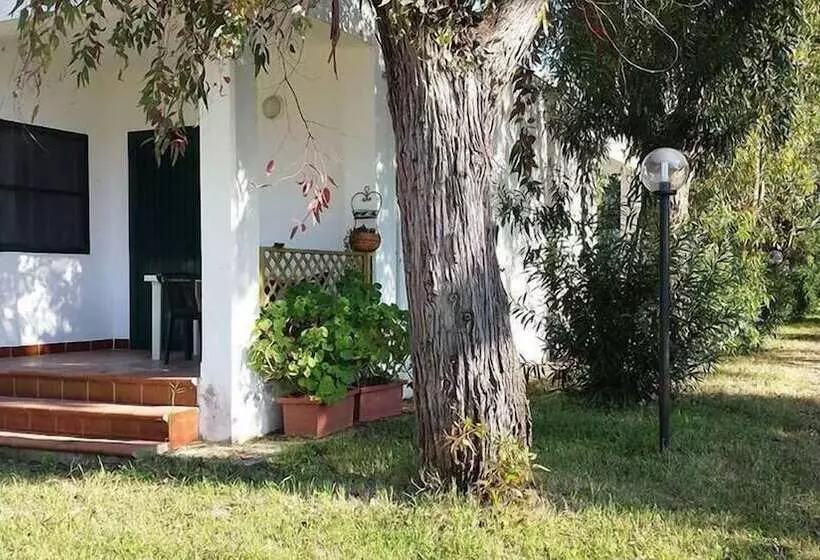 استراحتگاه Viola Club Village