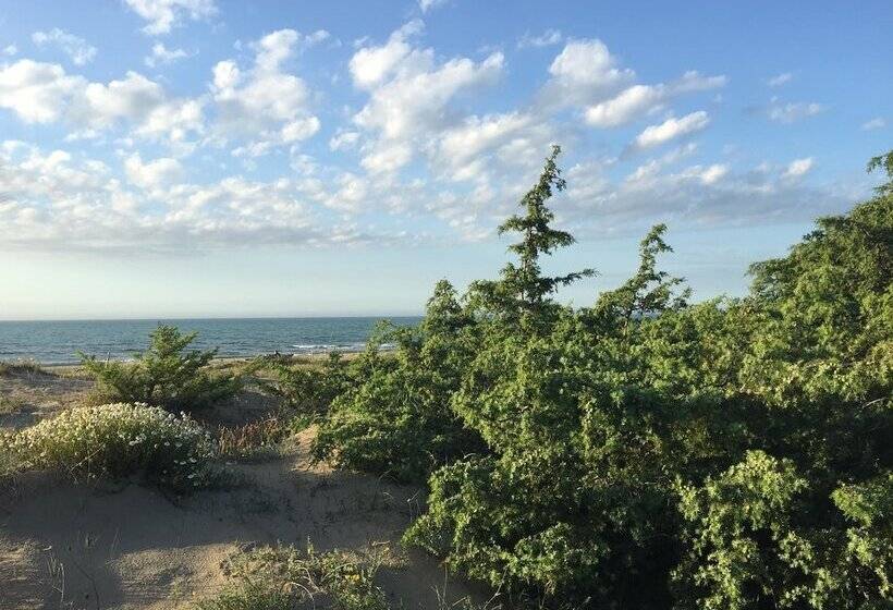 Курорт Viola Club Village