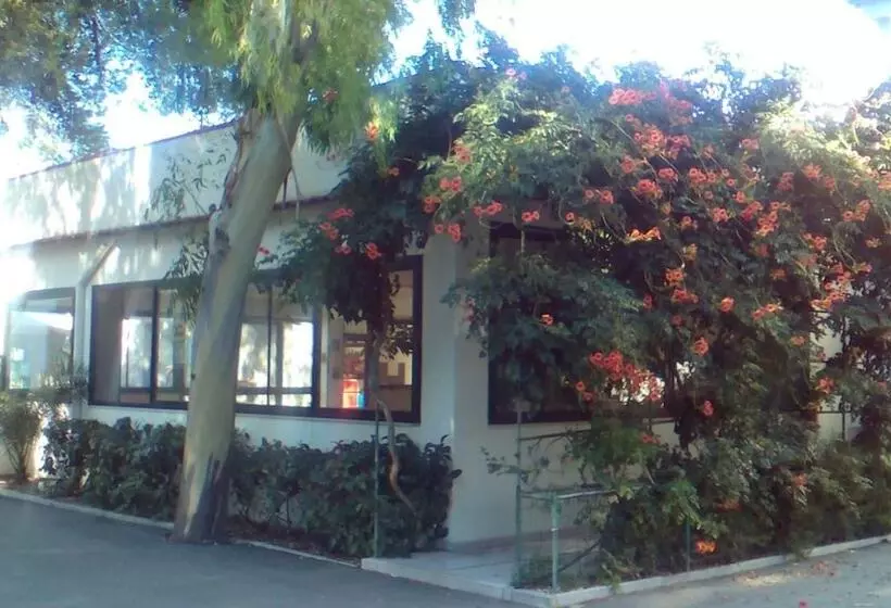 استراحتگاه Viola Club Village