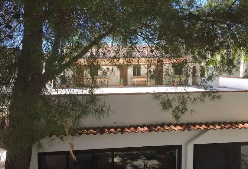 استراحتگاه Viola Club Village