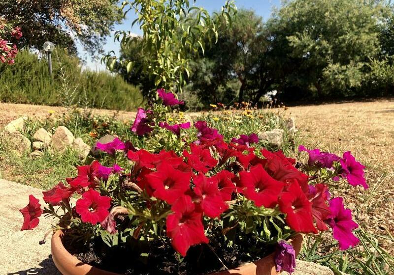 Agriturismo Gli Oleandri