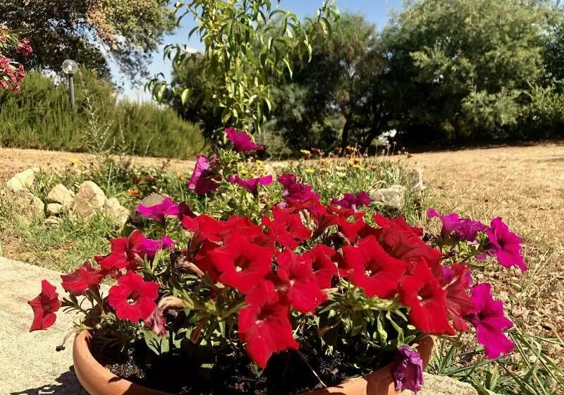Agriturismo Gli Oleandri