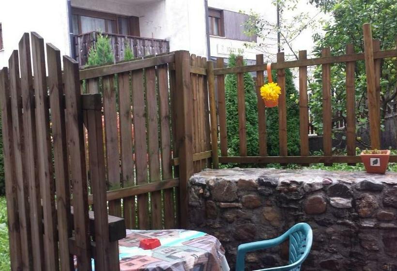 ベッドアンドブレックファースト Central Greenlife