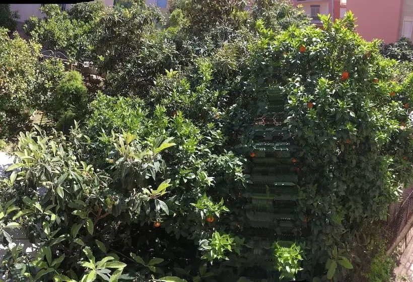 Aamiaismajoitus (B&B) Casa Di Angela