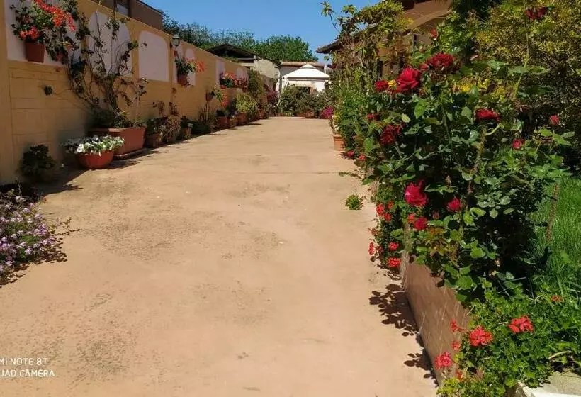 Aamiaismajoitus (B&B) I Giganti