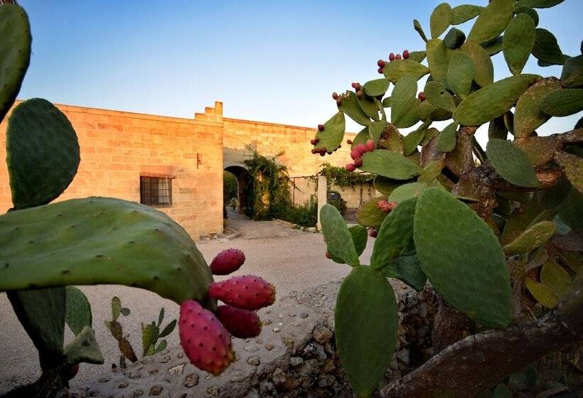 Bed and Breakfast Masseria Le Pezzate