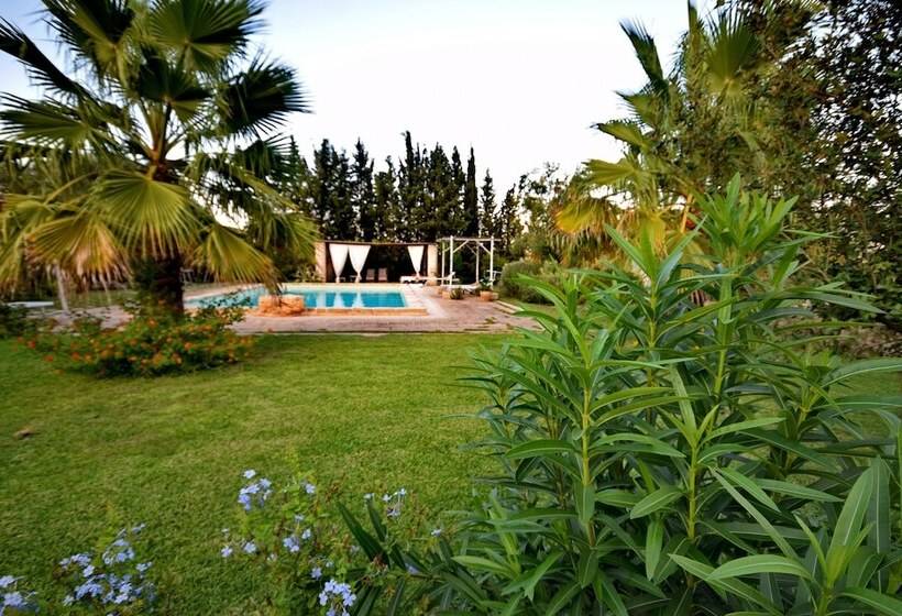 Bed and Breakfast Masseria Le Pezzate