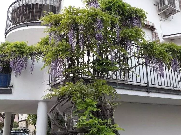 Aamiaismajoitus (B&B) Villetta Il Glicine