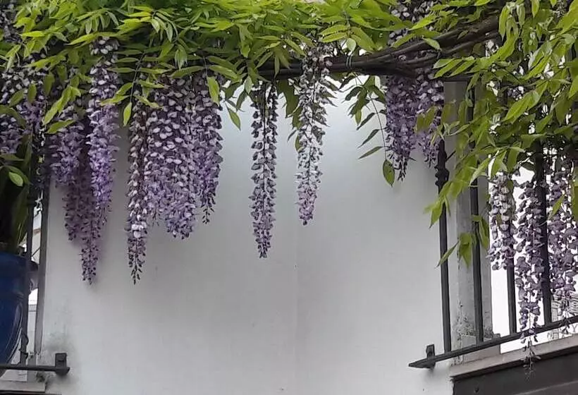 Aamiaismajoitus (B&B) Villetta Il Glicine
