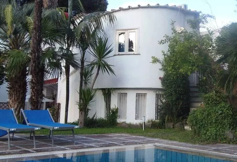 B&b Villa Cinque Pini