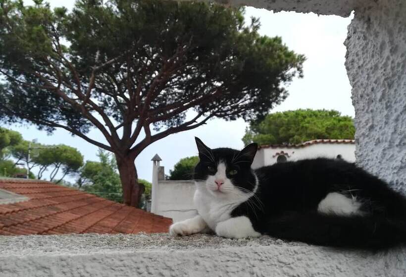 B&b Villa Cinque Pini