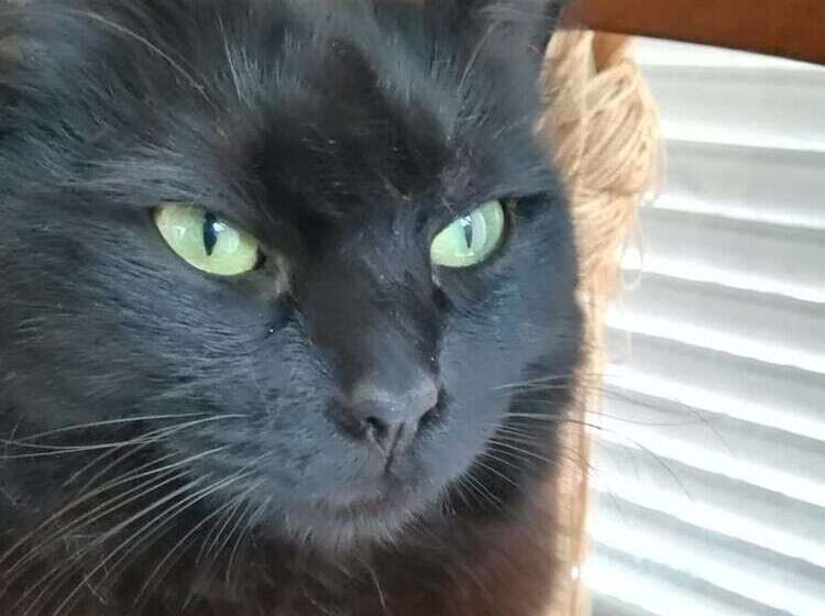 B&b Villa Cinque Pini