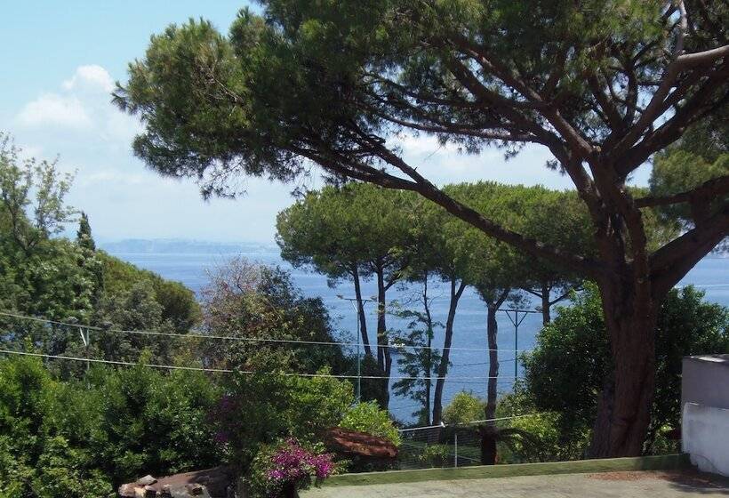 B&b Villa Cinque Pini