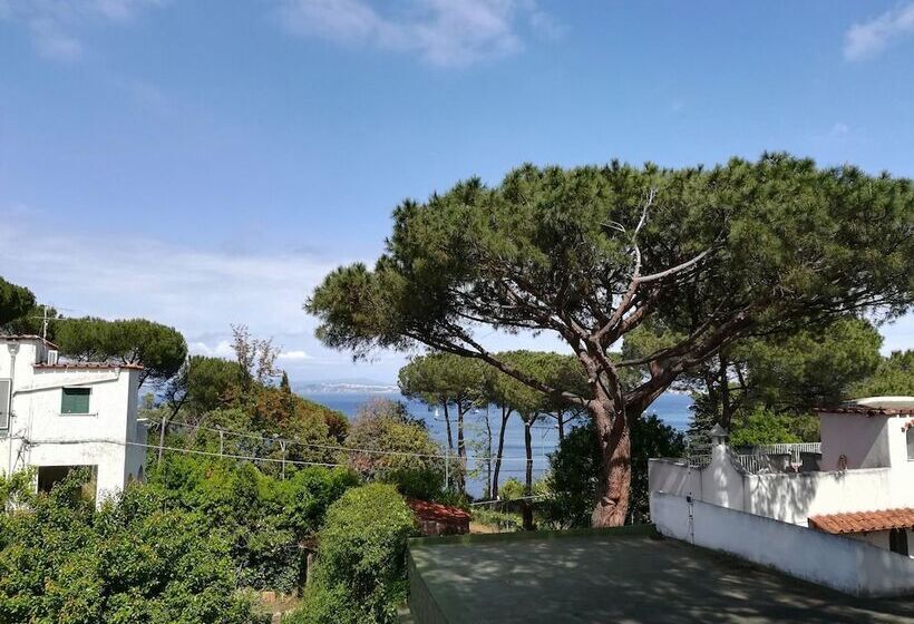 B&b Villa Cinque Pini