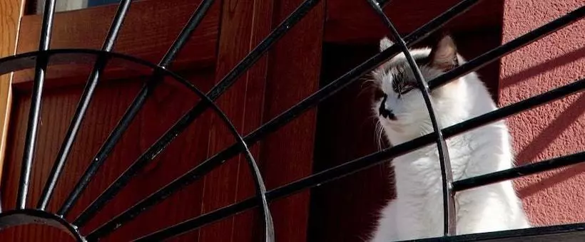 ベッドアンドブレックファースト Antica Casa Pasolini