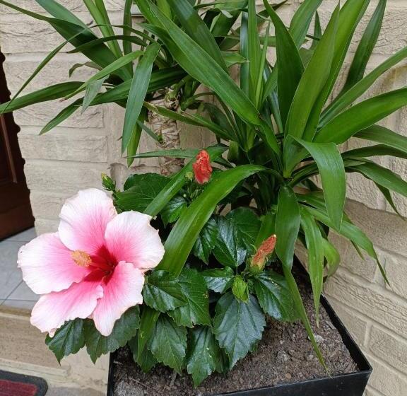 مبيت وإفطار Recanati Family