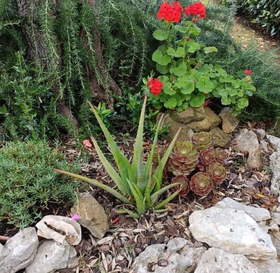 مبيت وإفطار Recanati Family