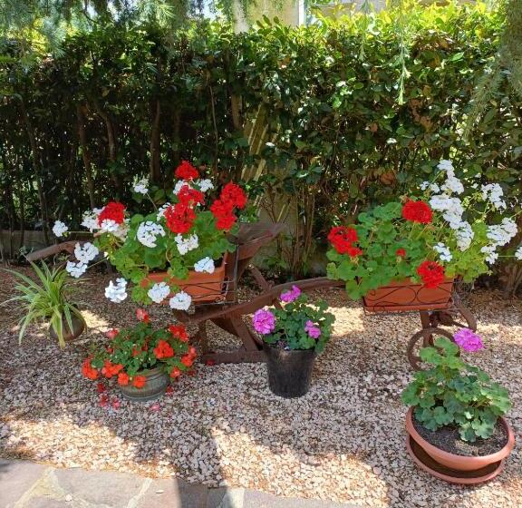 مبيت وإفطار Recanati Family