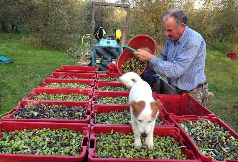 田舎風ホテル Agriturismo La Roverella