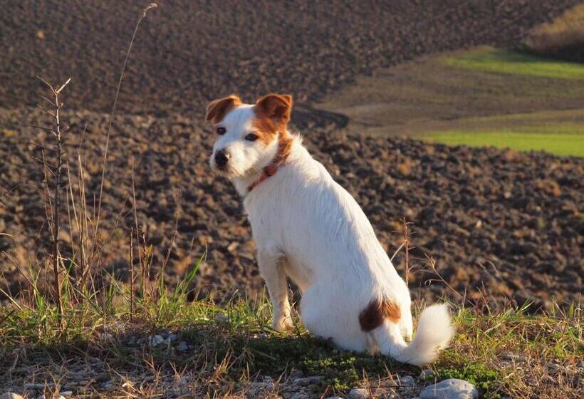 田舎風ホテル Agriturismo La Roverella
