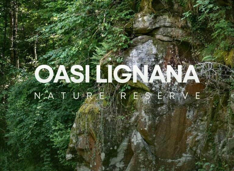 교외 호텔 Oasi Lignana Apartments