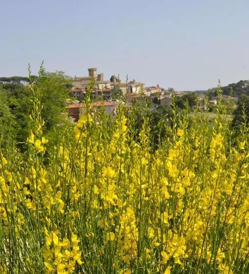 B&b Casa Soresina