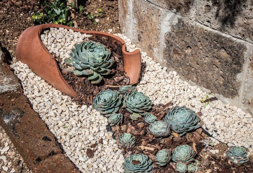 تختخواب و صبحانه Villa Paola